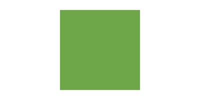 Green Historical Socks