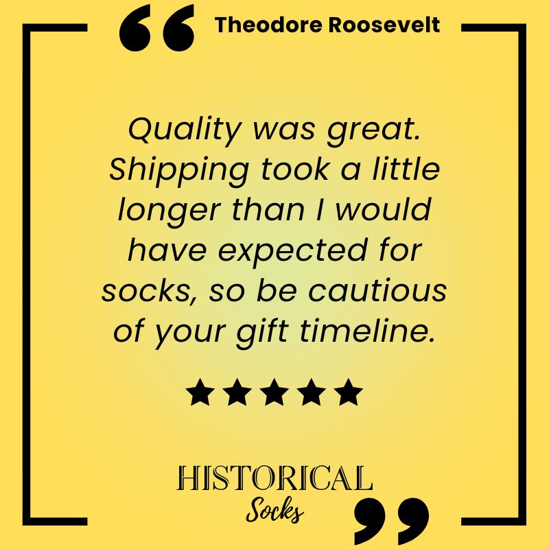 Theodore Roosevelt Review