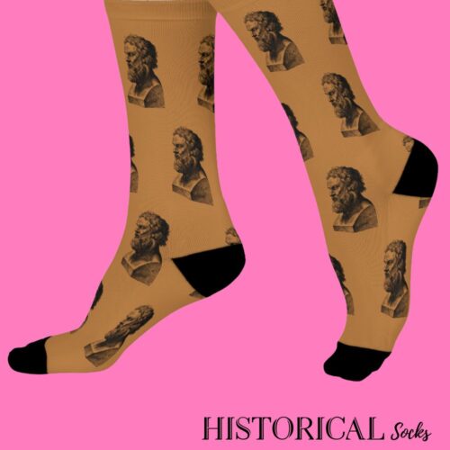 Plato Socks Brown