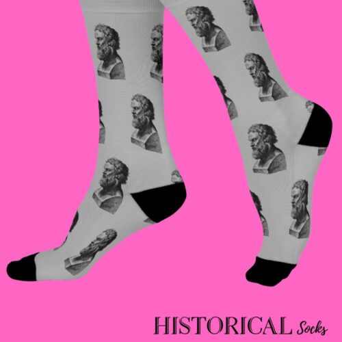 Plato Socks Gray