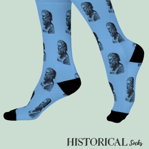 Plato Socks Blue