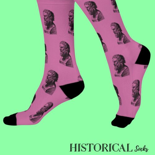 Plato Socks Pink