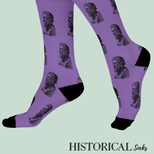 Plato Socks Purple