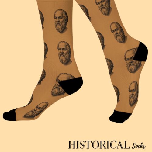 Socrates Socks Brown