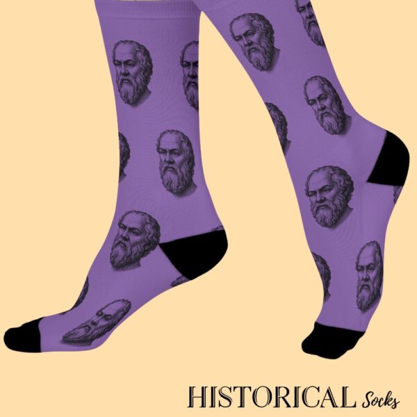 Socrates Socks Purple