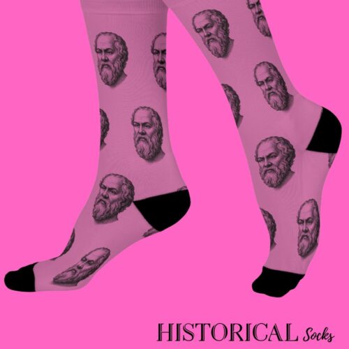 Socrates Socks Pink