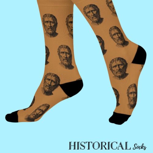 Seneca Socks Brown