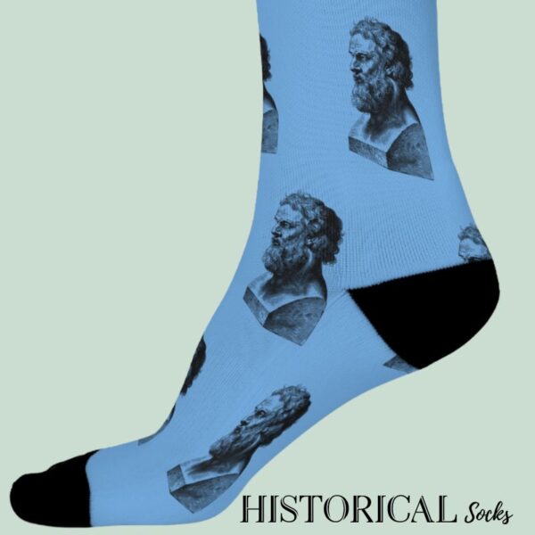 Blue Plato socks