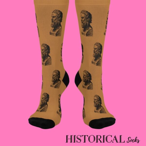 Brown Socks Plato