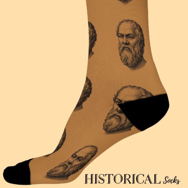 Brown Socrates Socks