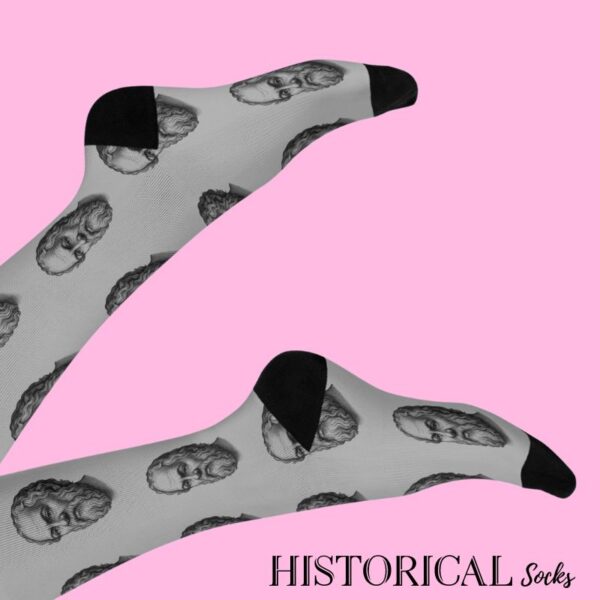Gray Socrates socks
