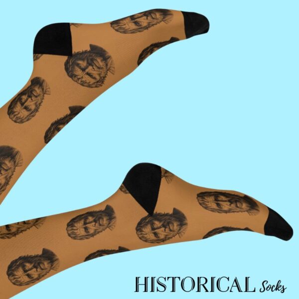 Stoic brown Seneca socks