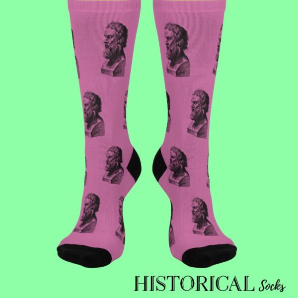 Pink philosophy socks