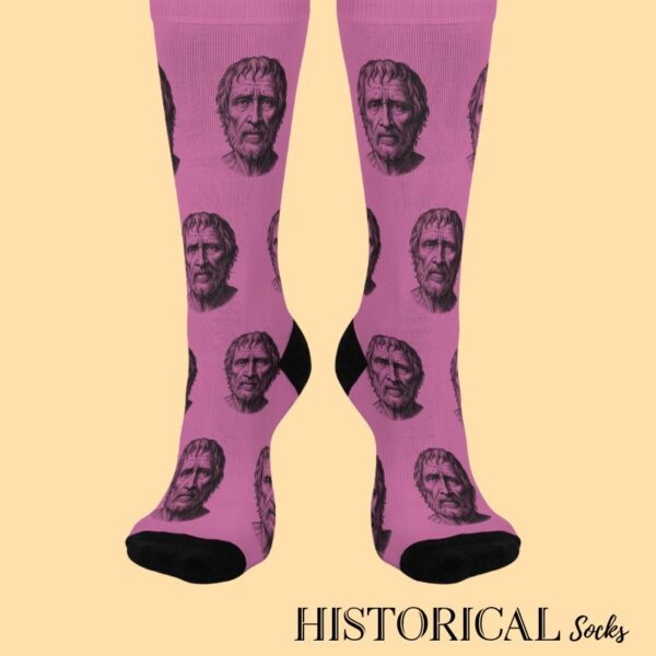 Pink socks Seneca