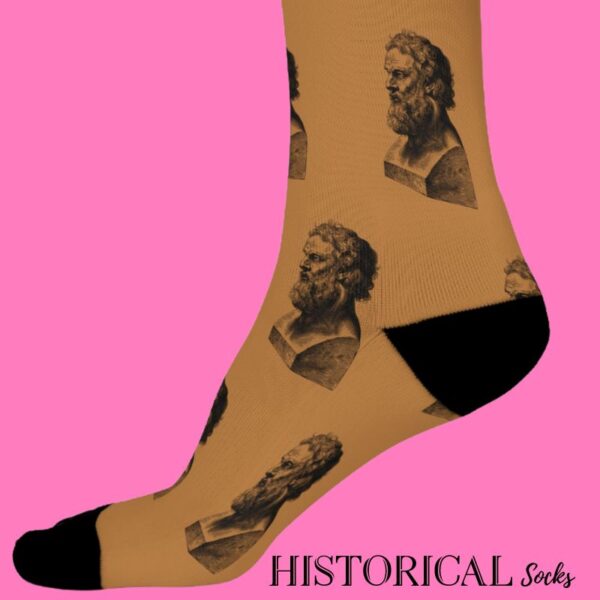 Plato brown socks