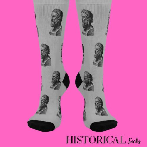 Plato gifts gray socks