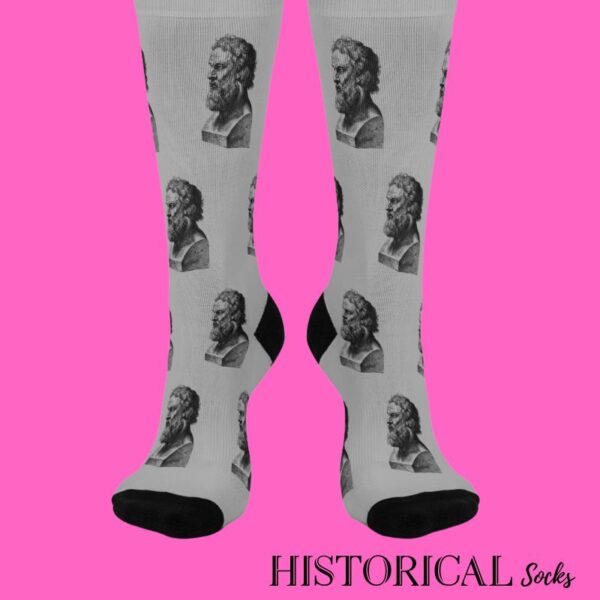 Plato gifts gray socks