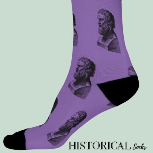 Purple Plato Socks