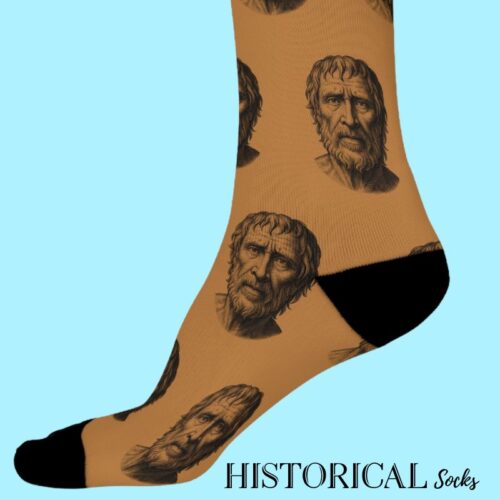 Brown Seneca socks