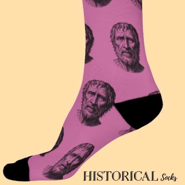 Seneca pink socks