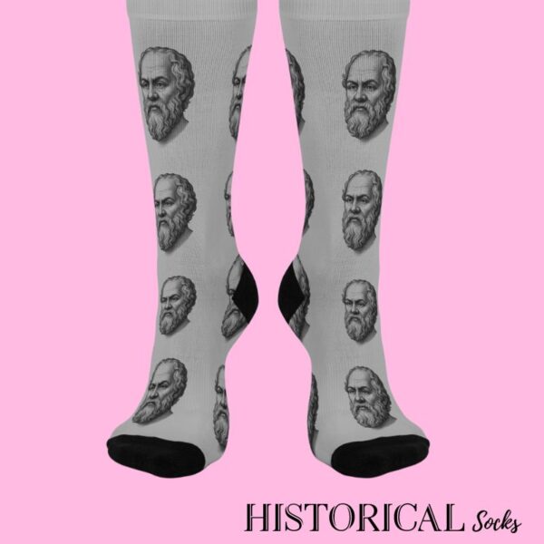 Socrates gray socks