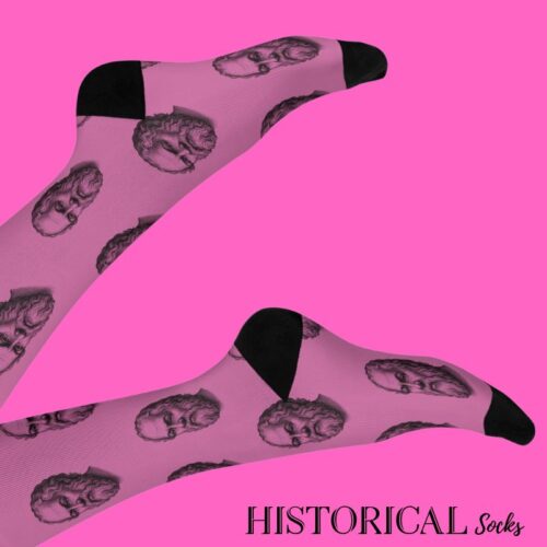 Socrates pink socks
