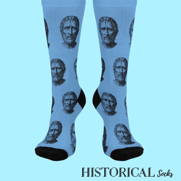 Stoic Seneca Socks in Blue