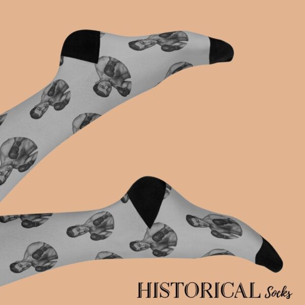 Rocky socks in gray