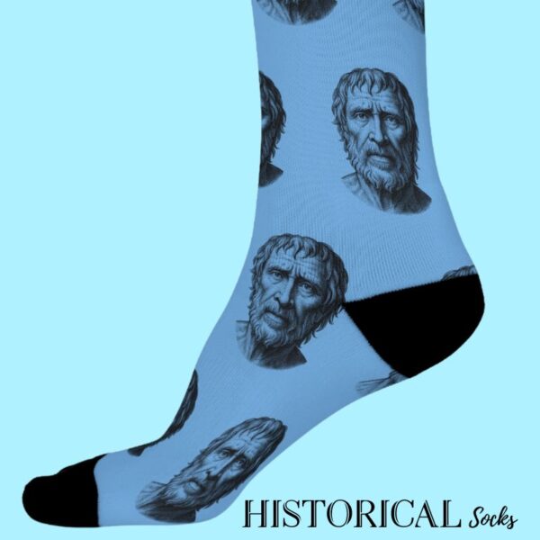 Seneca blue socks