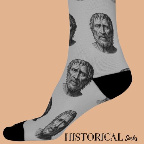 Seneca philosopher socks in gray