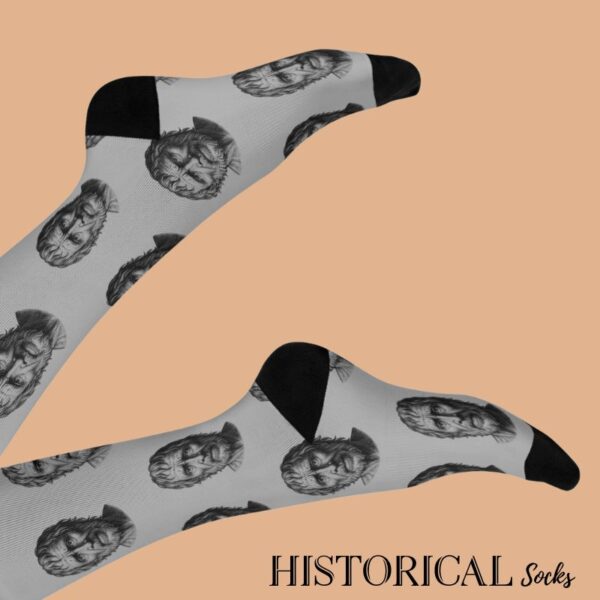 Unisex socks gray with Seneca prints