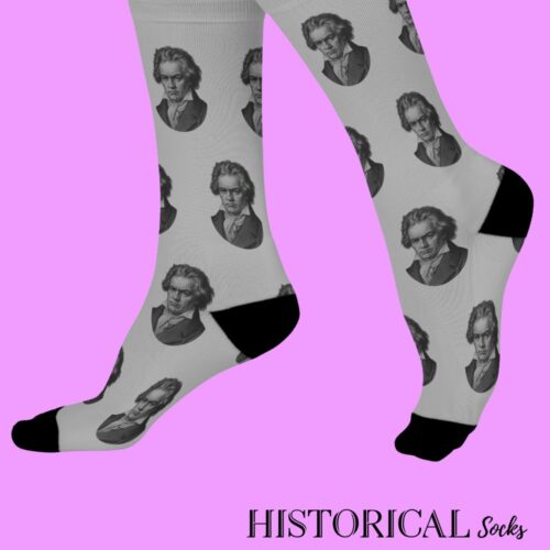 Ludwig van Beethoven Socks Gray