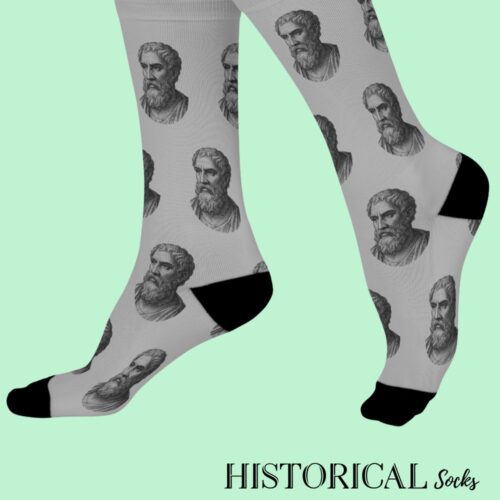 Epictetus Socks Gray