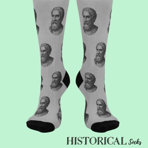 Front view of Epictetus Socks in gray, showing repeating philosopher print pattern
